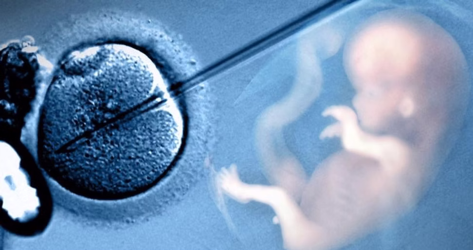 IVF in Turkey consultation with fertility expert at the best IVF clinic Turkey for patients comparing IVF cost Turkey