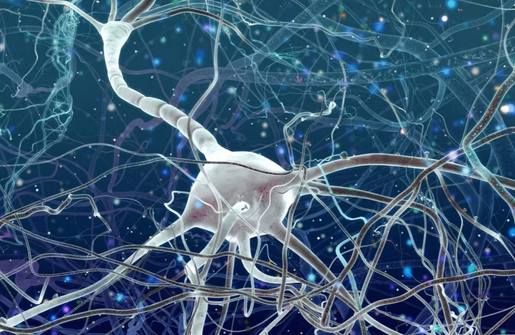 Parkinson treatment Turkey multidisciplinary team meeting in Parkinson treatment Istanbul hospital reviewing complex patient cases